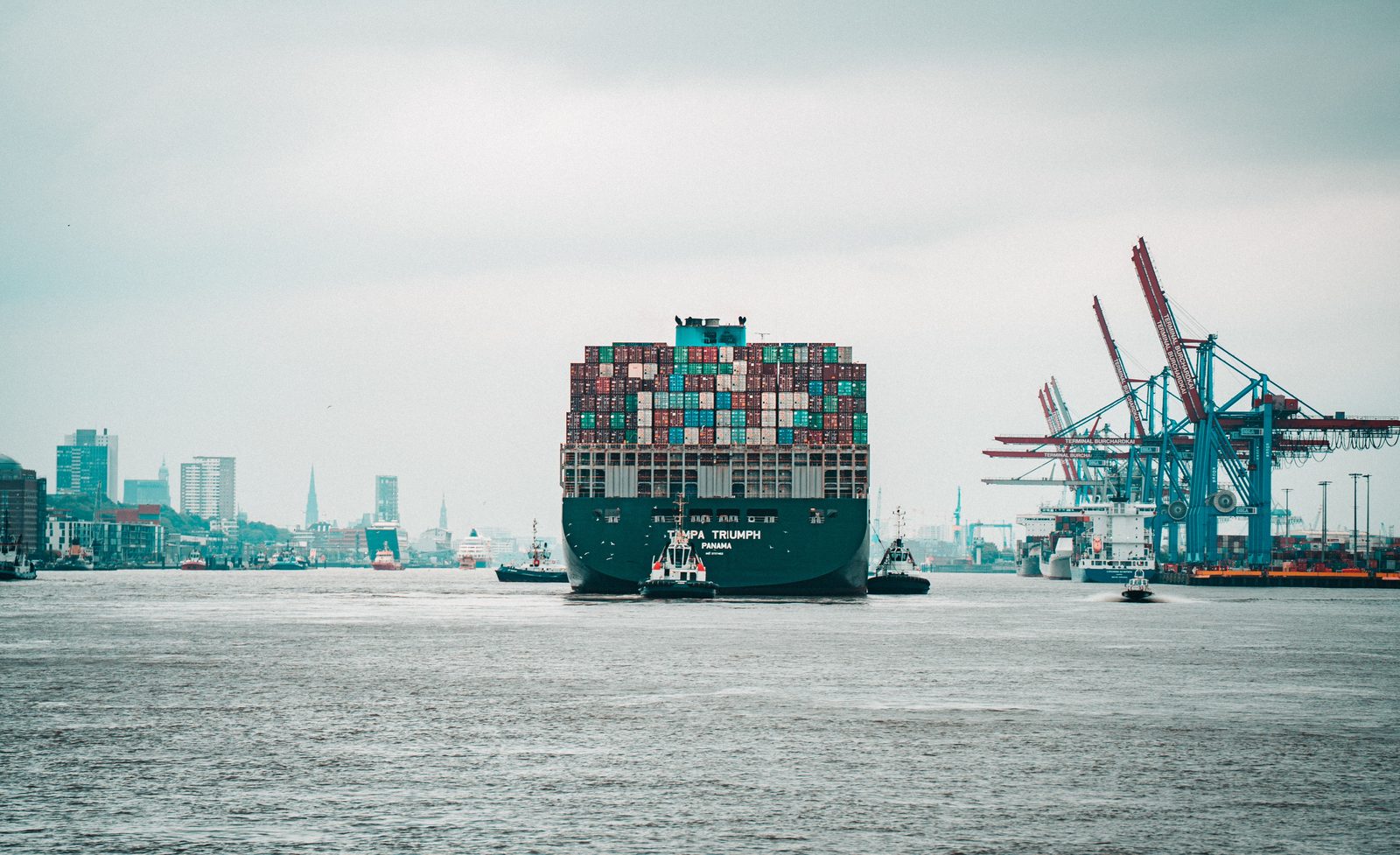 Illustration for the article LC vs SBLC: 10 Key Differences to Optimize Your Trade Finance Strategy